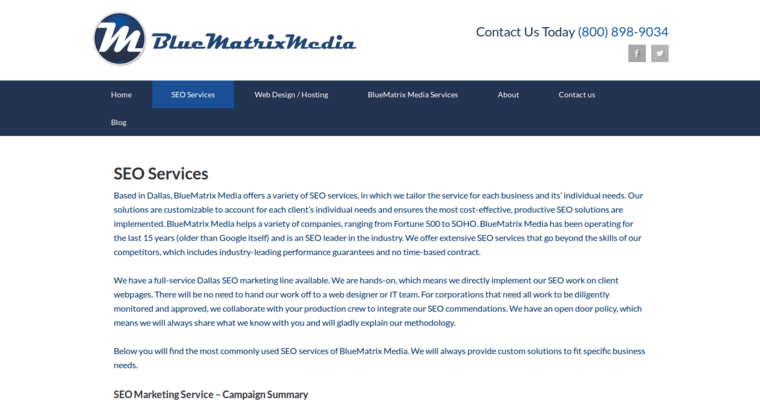 Service page of #1 Top Bing Business: Blue Matrix